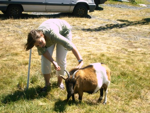 20-juil26.JPG